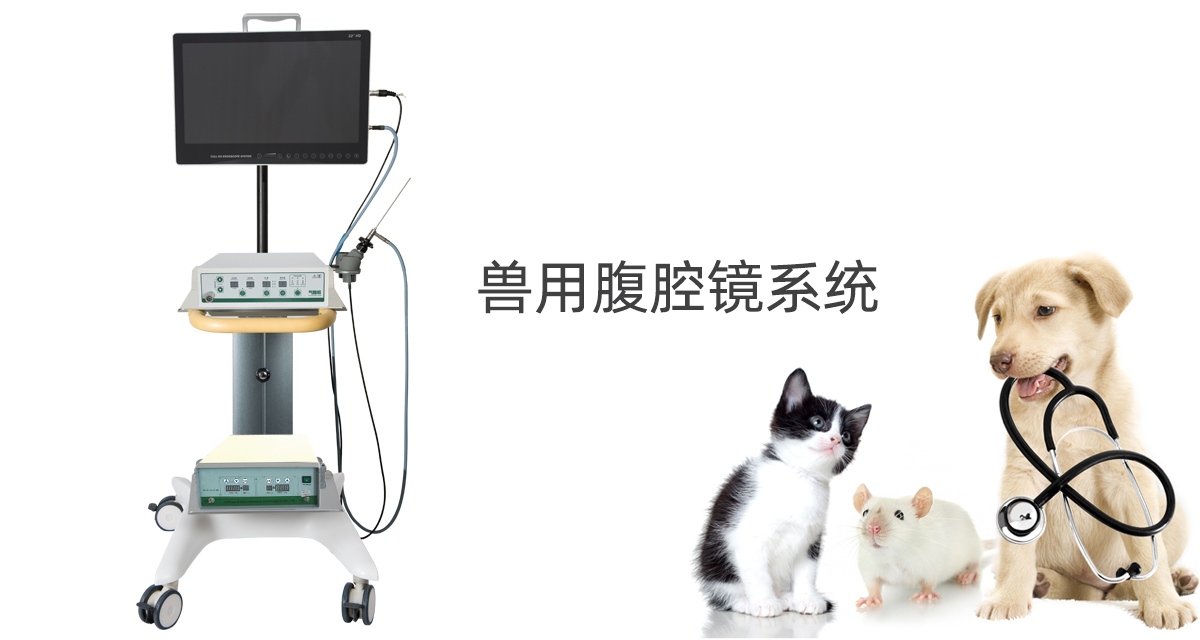 益柯達(dá)與您深入了解獸用腹腔鏡配置