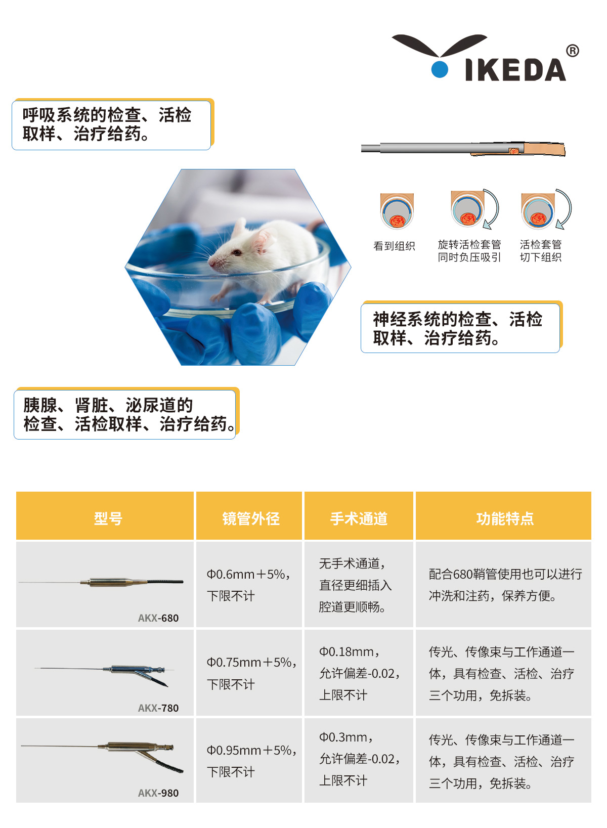 益柯達大、小鼠腸鏡解決方案